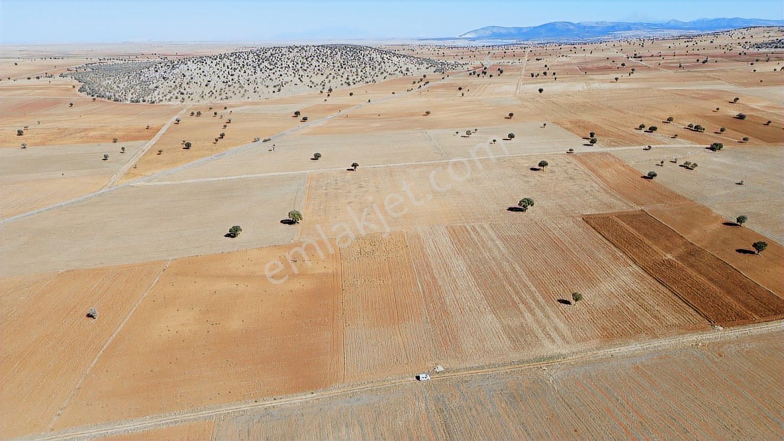 Konya/akören/karahüyük Mahallesi 4020 M2 Tarım Arazisi Ekilir - Görsel 23