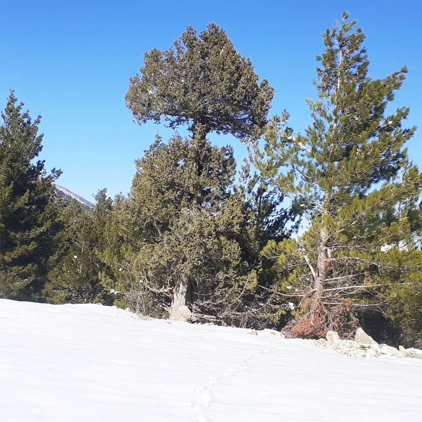 Kar Emlaktan Yenikonacık Körmenlik Mevkiinde 570 M2 Satılık Arsa - Görsel 23