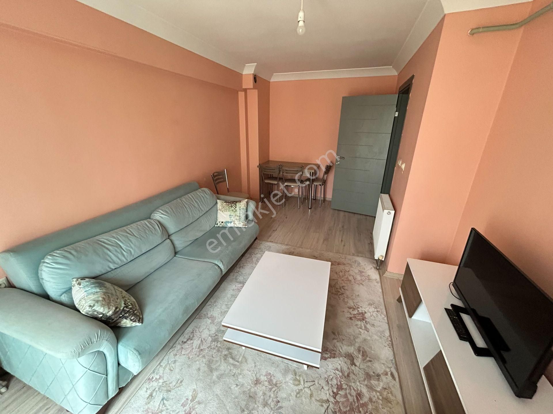 Cihan Emlaktan Ordu Caddesi Üzerinde Eşyalı Kiralık Asansörlü, Yeni 1+1 Daire - Görsel 6