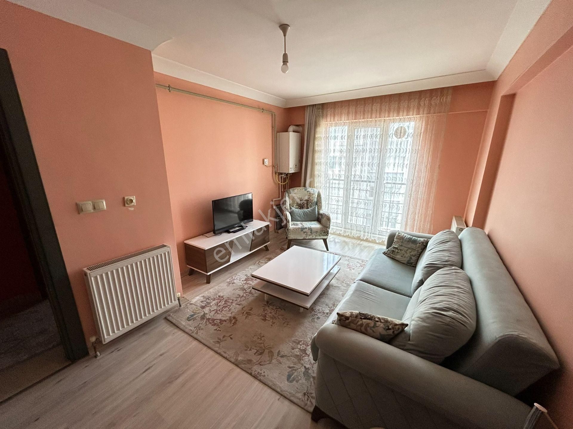 Cihan Emlaktan Ordu Caddesi Üzerinde Eşyalı Kiralık Asansörlü, Yeni 1+1 Daire - Görsel 3