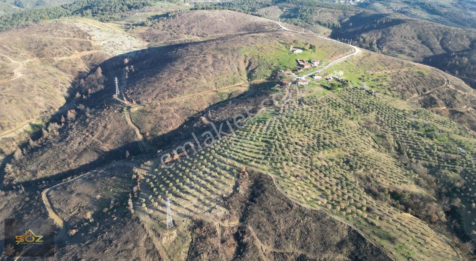 Manisa Akhisar Durasıllı'da Satılık 17.150 M² Zeytinlik Tarla