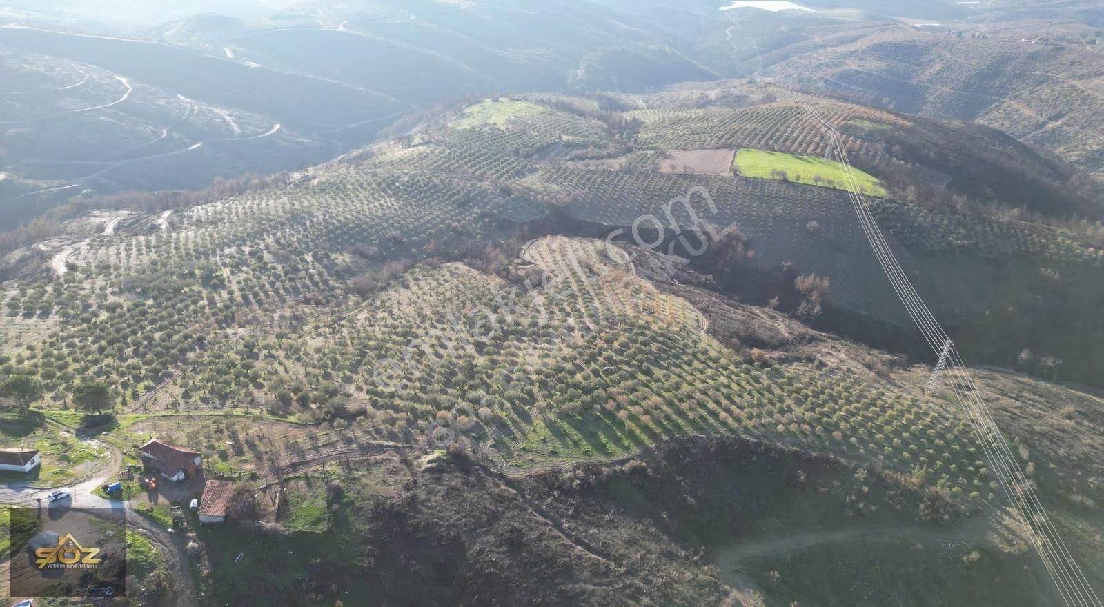 Manisa Akhisar Durasıllı'da Satılık 17.150 M² Zeytinlik Tarla - Görsel 8