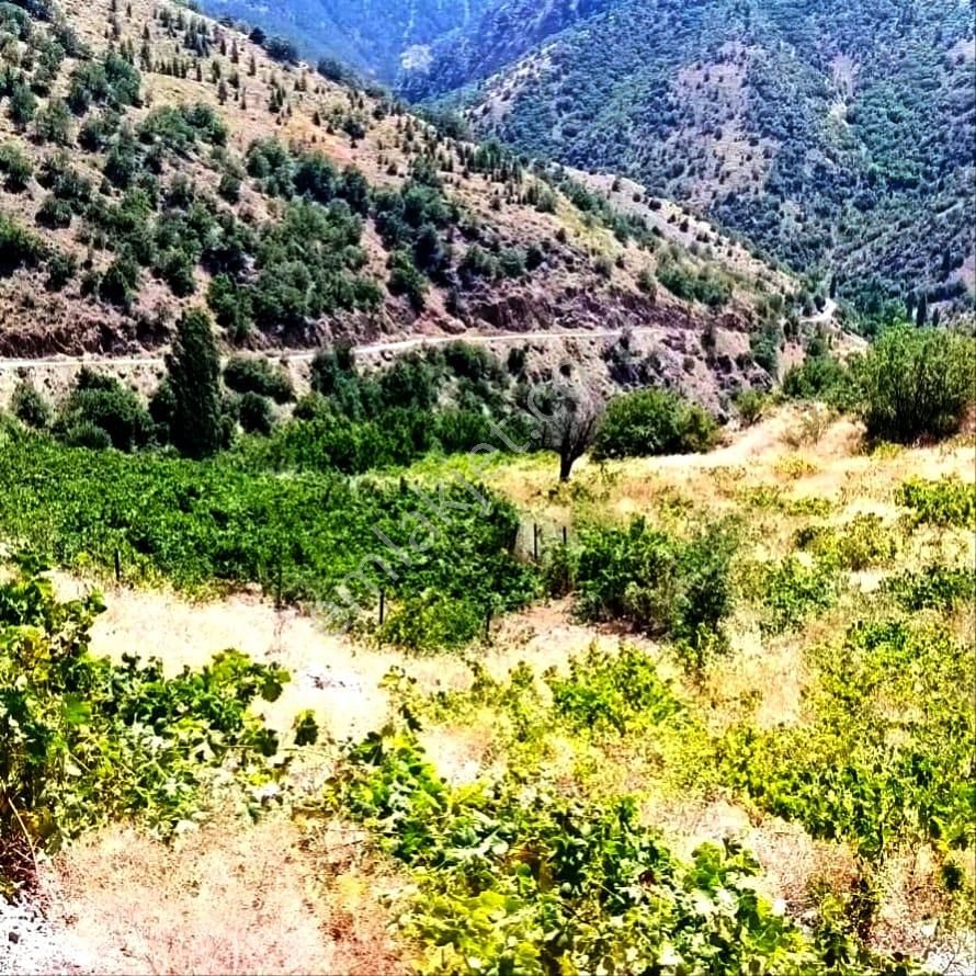 Kar Emlaktan Ömerli Köyüde 1400 M2 Satılık Bahçe - Görsel 4