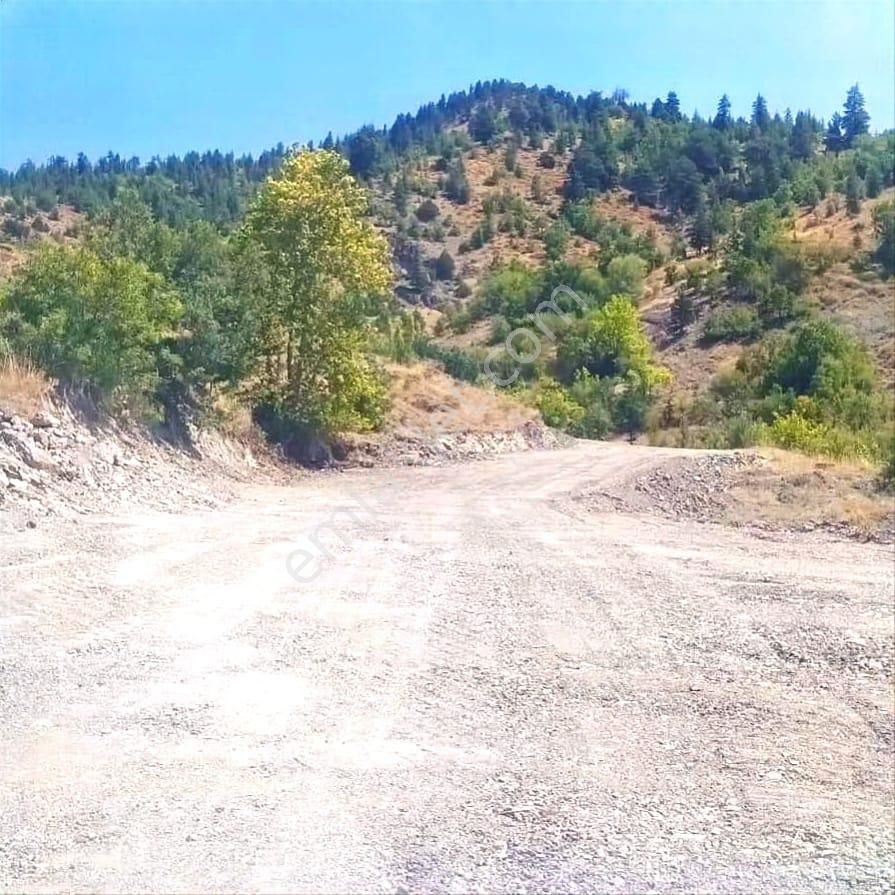 Kar Emlaktan Ömerli Köyüde 1400 M2 Satılık Bahçe - Görsel 3