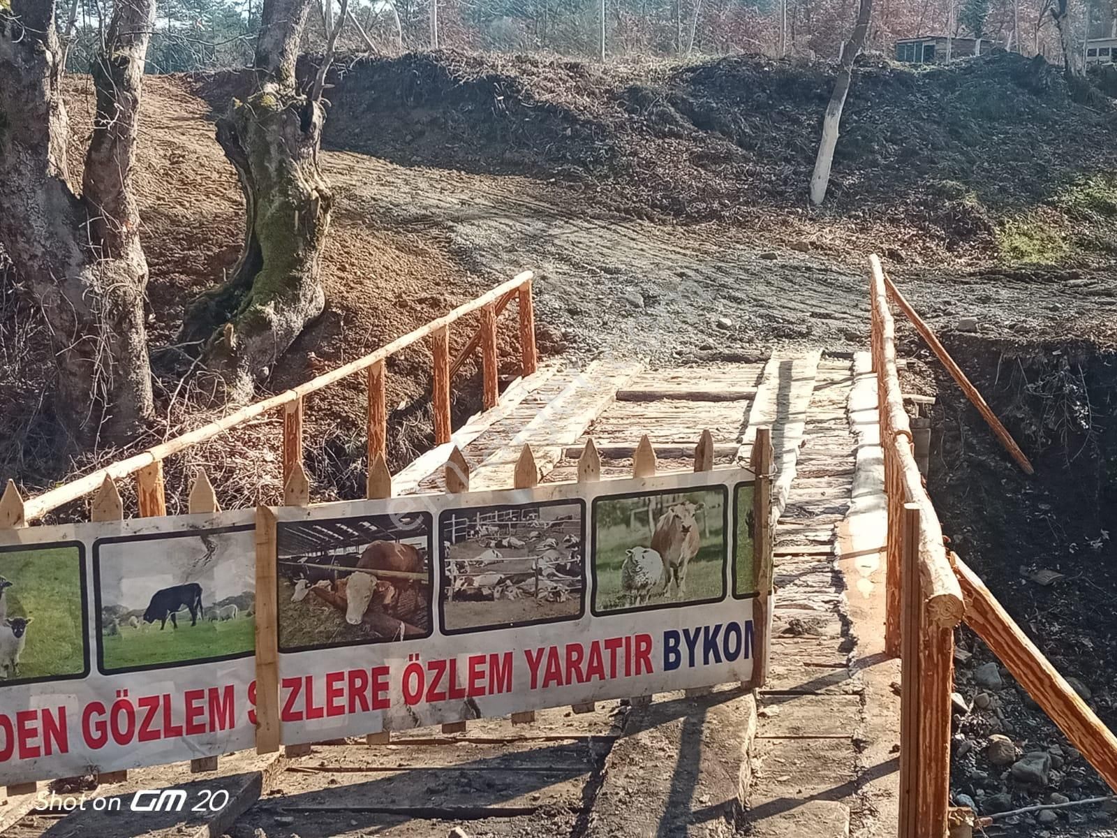 Çanakkale Yenice Örencikte Gölet Ve Dere Yanında Satılık Hobi Bqhçesi Kamp Alanı - Görsel 8