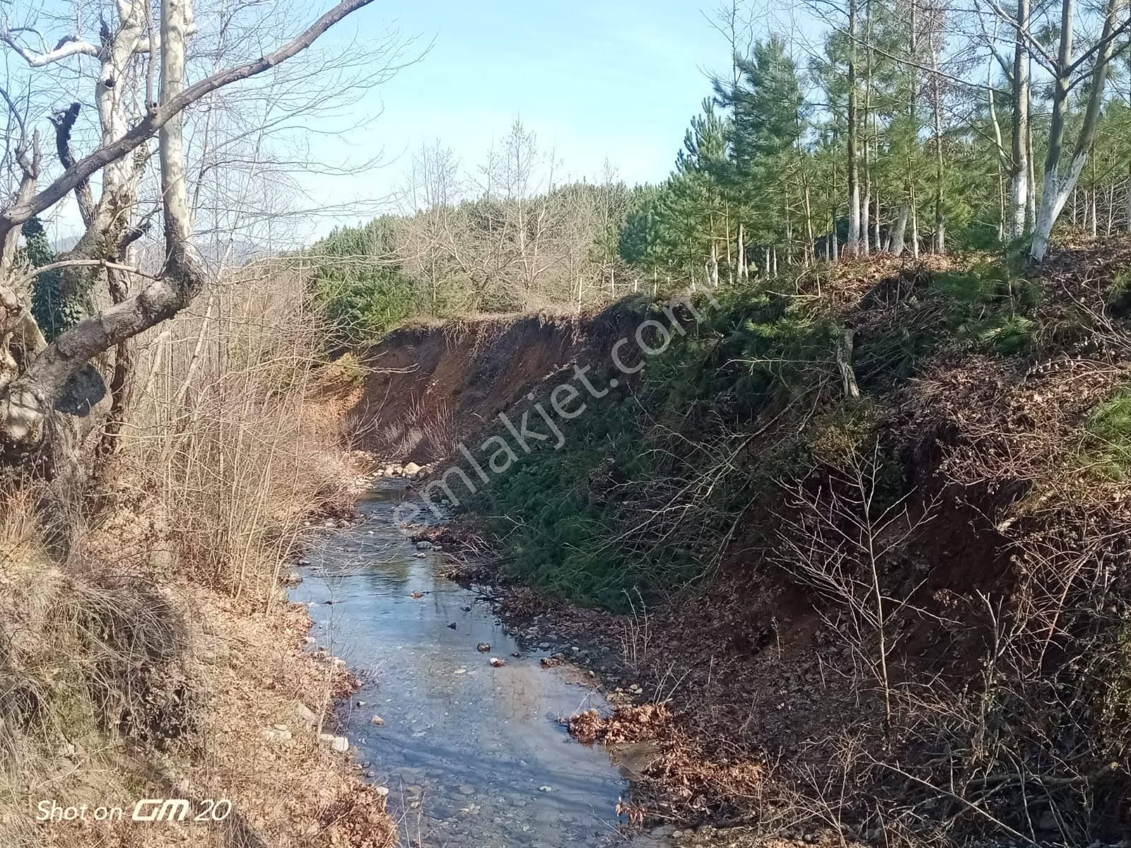 Çanakkale Yenice Örencikte Gölet Ve Dere Yanında Satılık Hobi Bqhçesi Kamp Alanı - Görsel 27