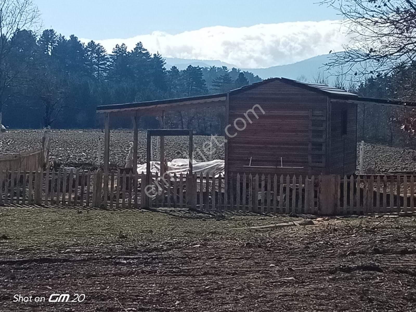 Çanakkale Yenice Örencikte Gölet Ve Dere Yanında Satılık Hobi Bqhçesi Kamp Alanı - Görsel 17