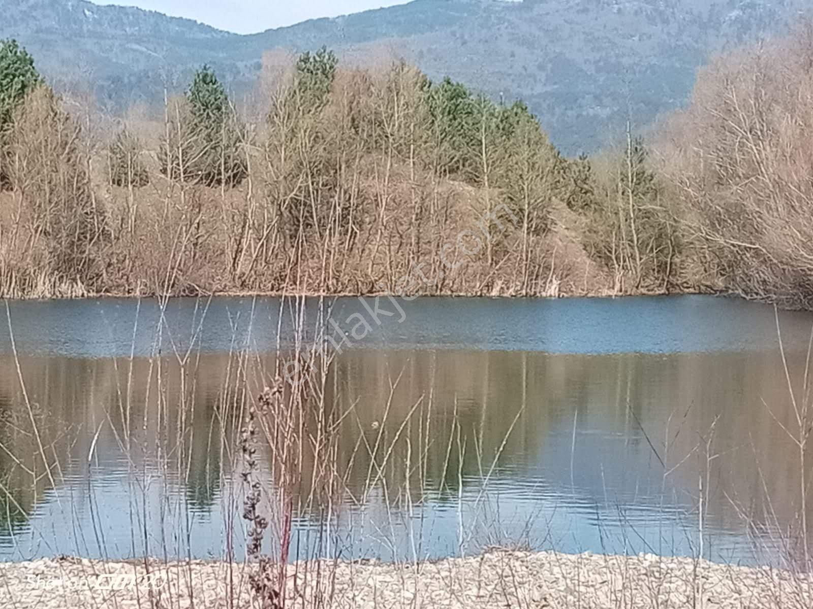 Çanakkale Yenice Örencikte Gölet Ve Dere Yanında Satılık Hobi Bqhçesi Kamp Alanı - Görsel 28