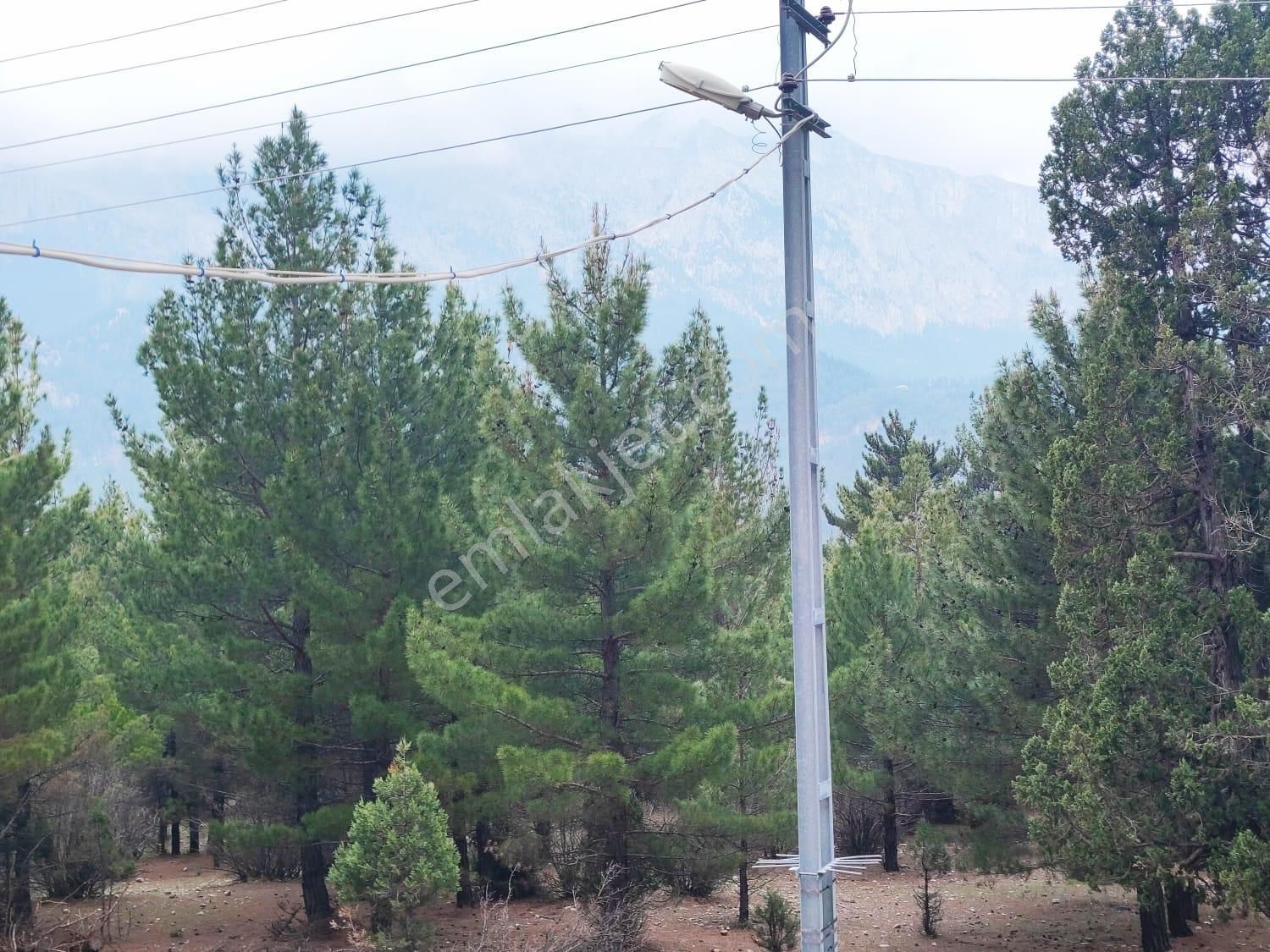 Kar Emlaktan Akçatekir Alpaslanda 370 M2 Arsa İçinde 3+1 Satılık Müstakil Ev - Görsel 3