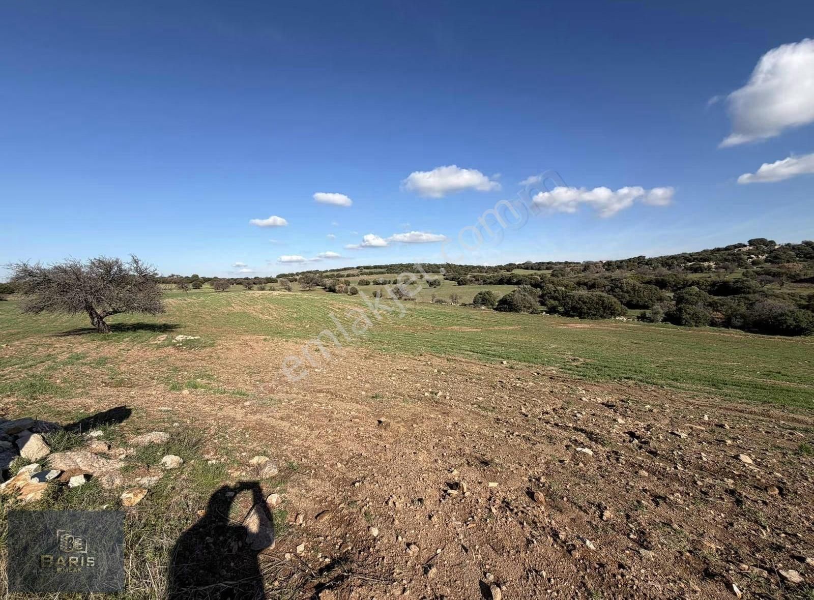 Çanakkale Ezine Kemallı Köyünde Fırsat Tarla - Görsel 3