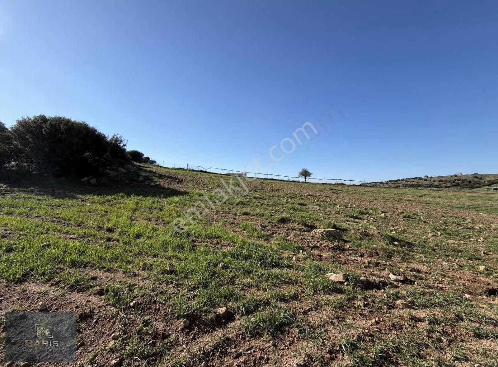 Çanakkale Ezine Kemallı Köyünde Fırsat Tarla - Görsel 14