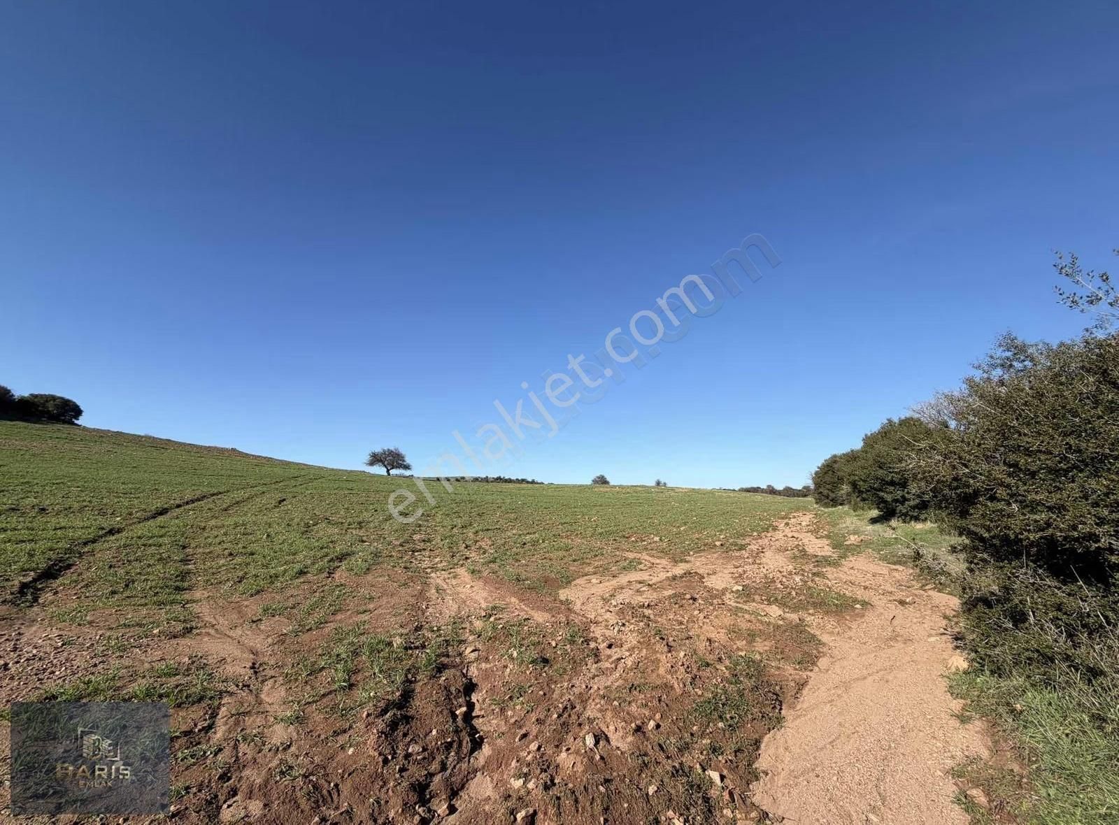 Çanakkale Ezine Kemallı Köyünde Fırsat Tarla - Görsel 9