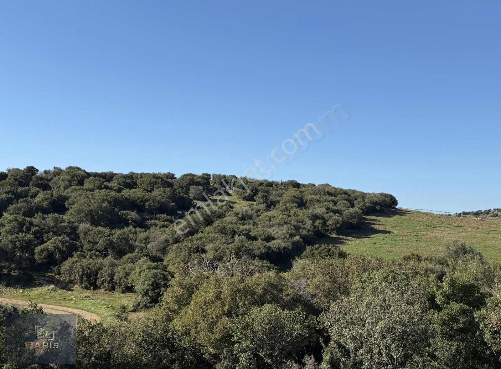 Çanakkale Ezine Kemallı Köyünde Fırsat Tarla - Görsel 11