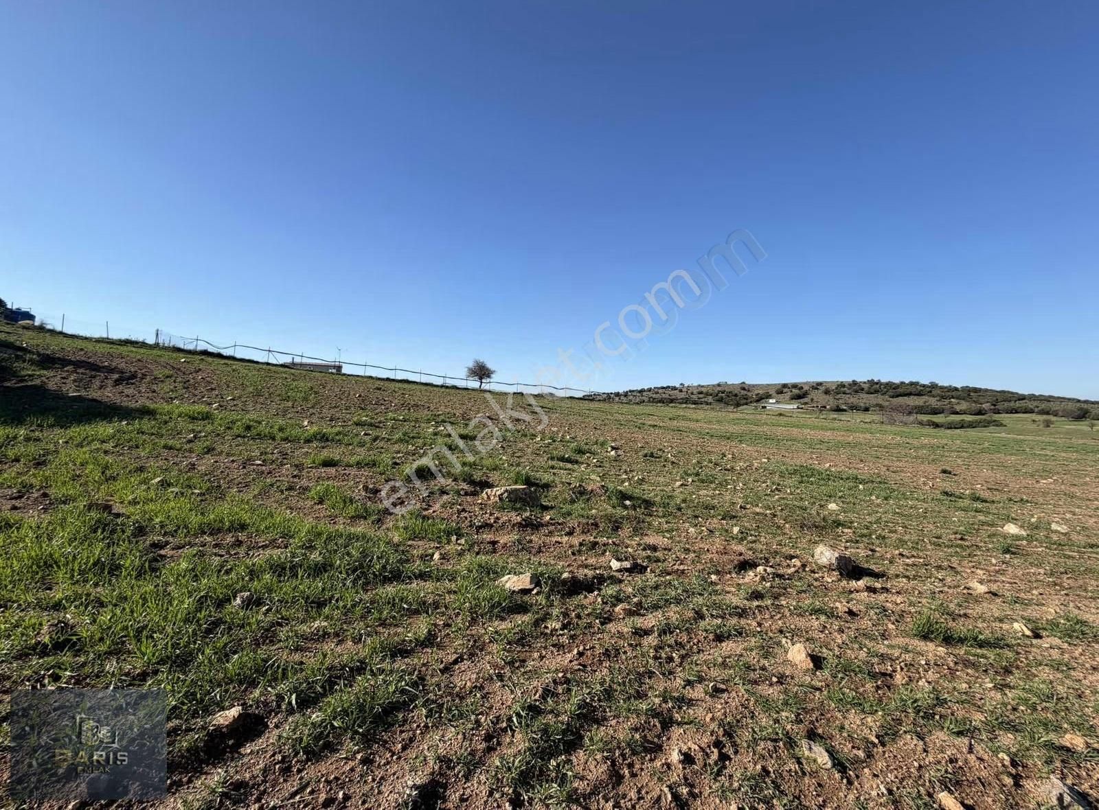 Çanakkale Ezine Kemallı Köyünde Fırsat Tarla - Görsel 7