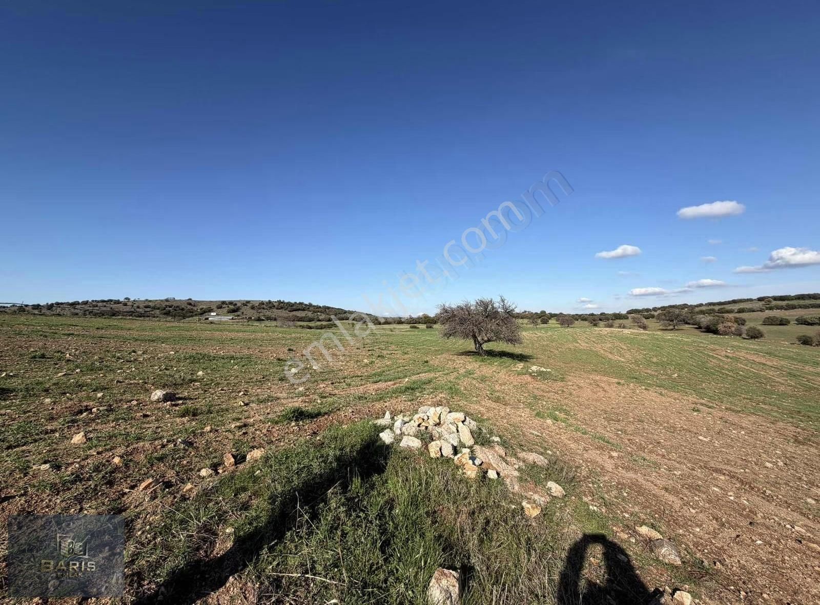 Çanakkale Ezine Kemallı Köyünde Fırsat Tarla - Görsel 12