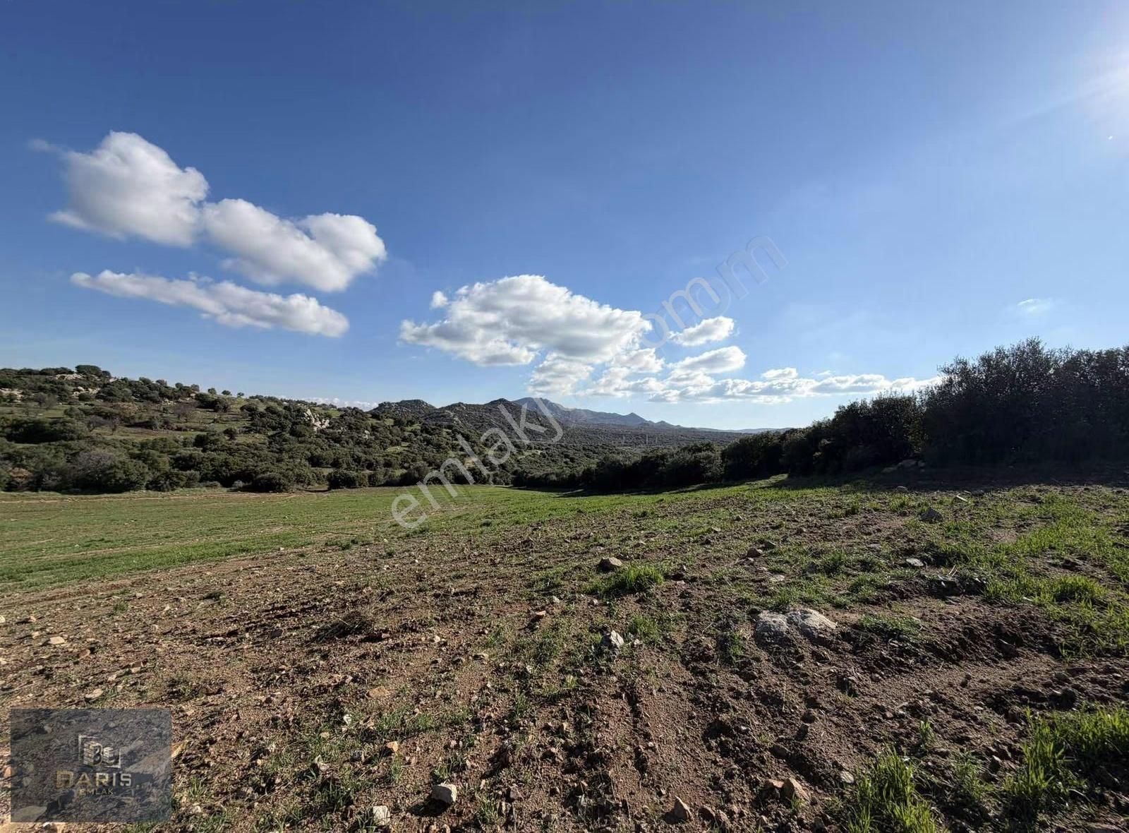 Çanakkale Ezine Kemallı Köyünde Fırsat Tarla - Görsel 2