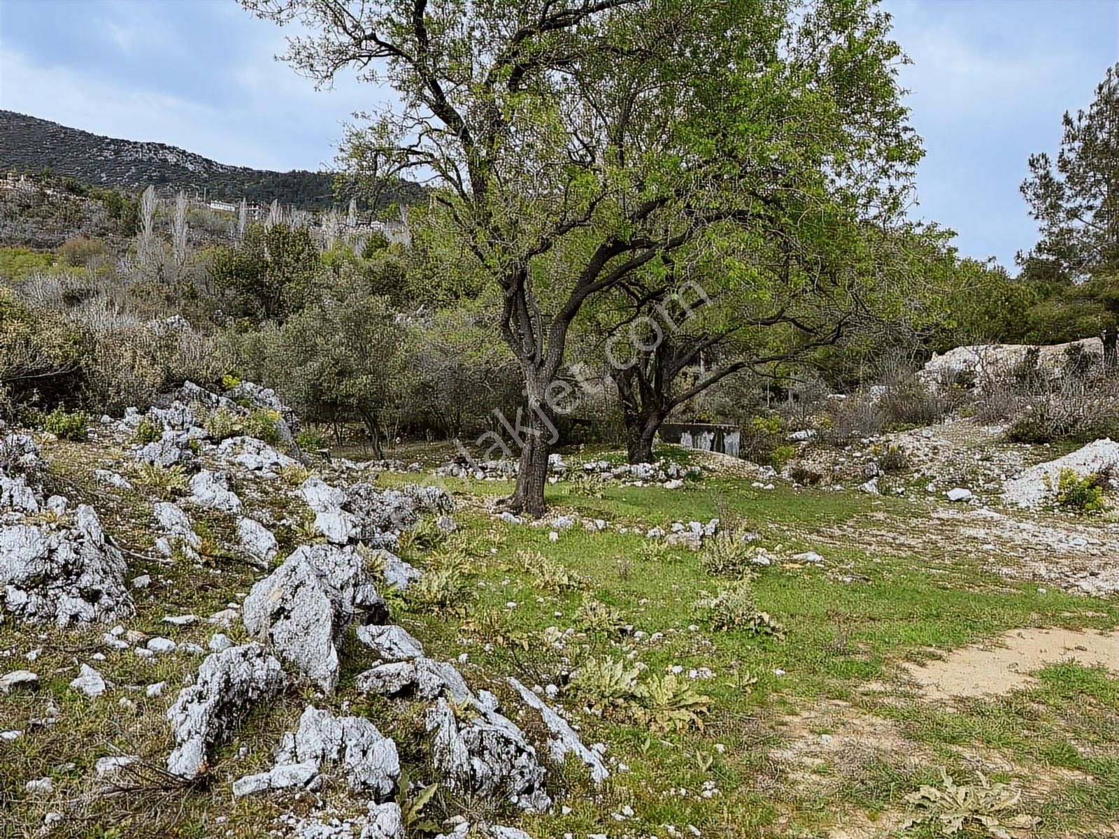 Full Deniz Ve Şehir Manzaralı Önü Kapanmaz Zirvede Tarla - Görsel 4