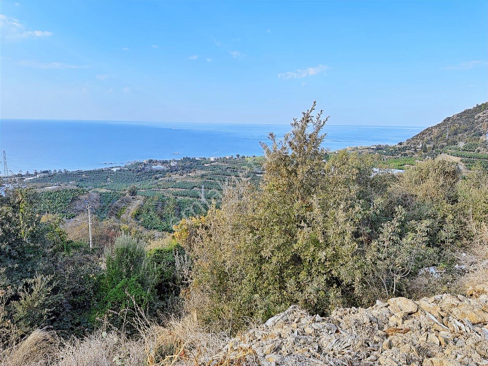 Satılık Emsalsiz Panoramik Deniz Manzaralı 2 Villa Yapmına Uygun - Görsel 11