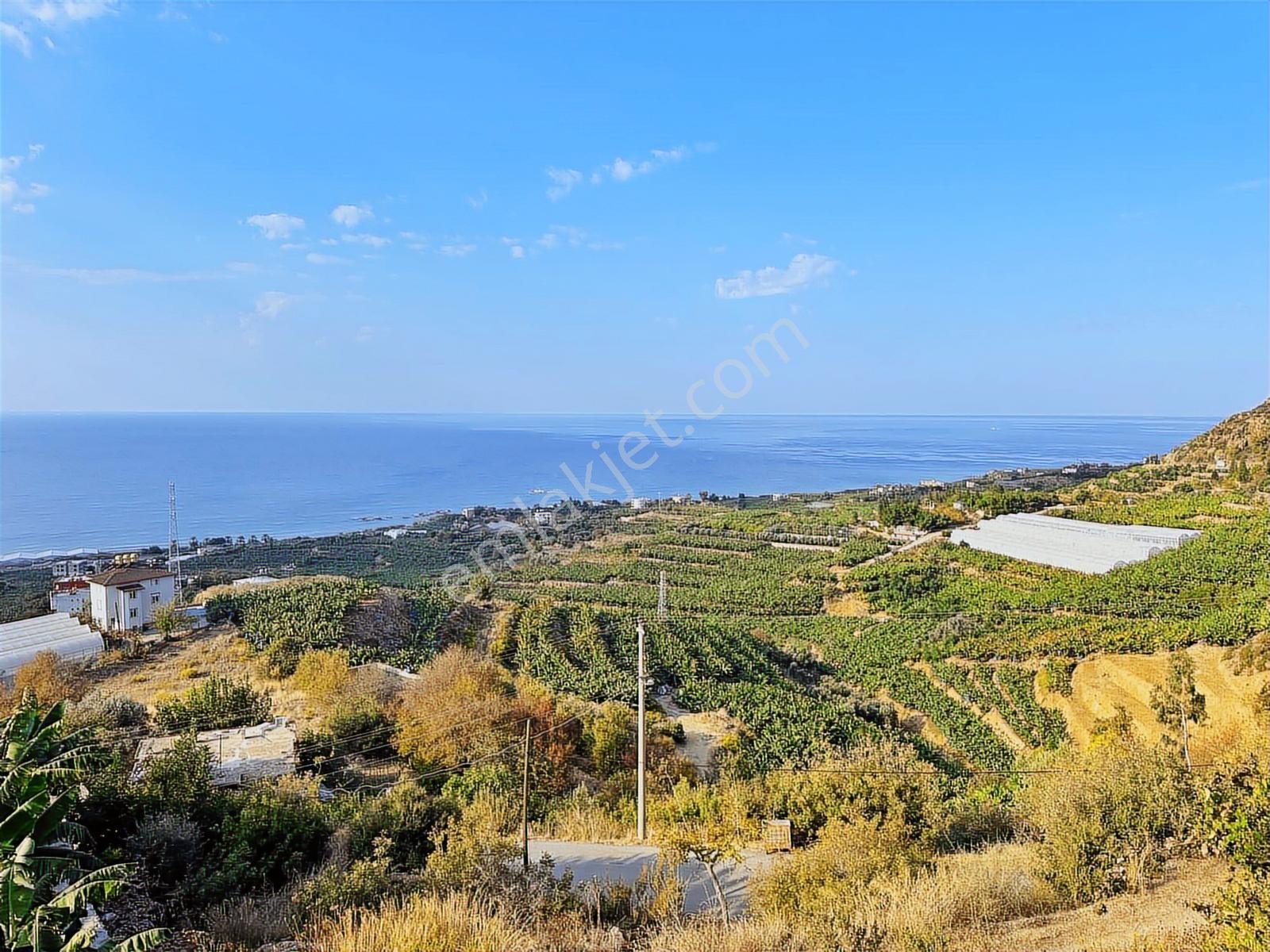 Satılık Emsalsiz Panoramik Deniz Manzaralı 2 Villa Yapmına Uygun - Görsel 27