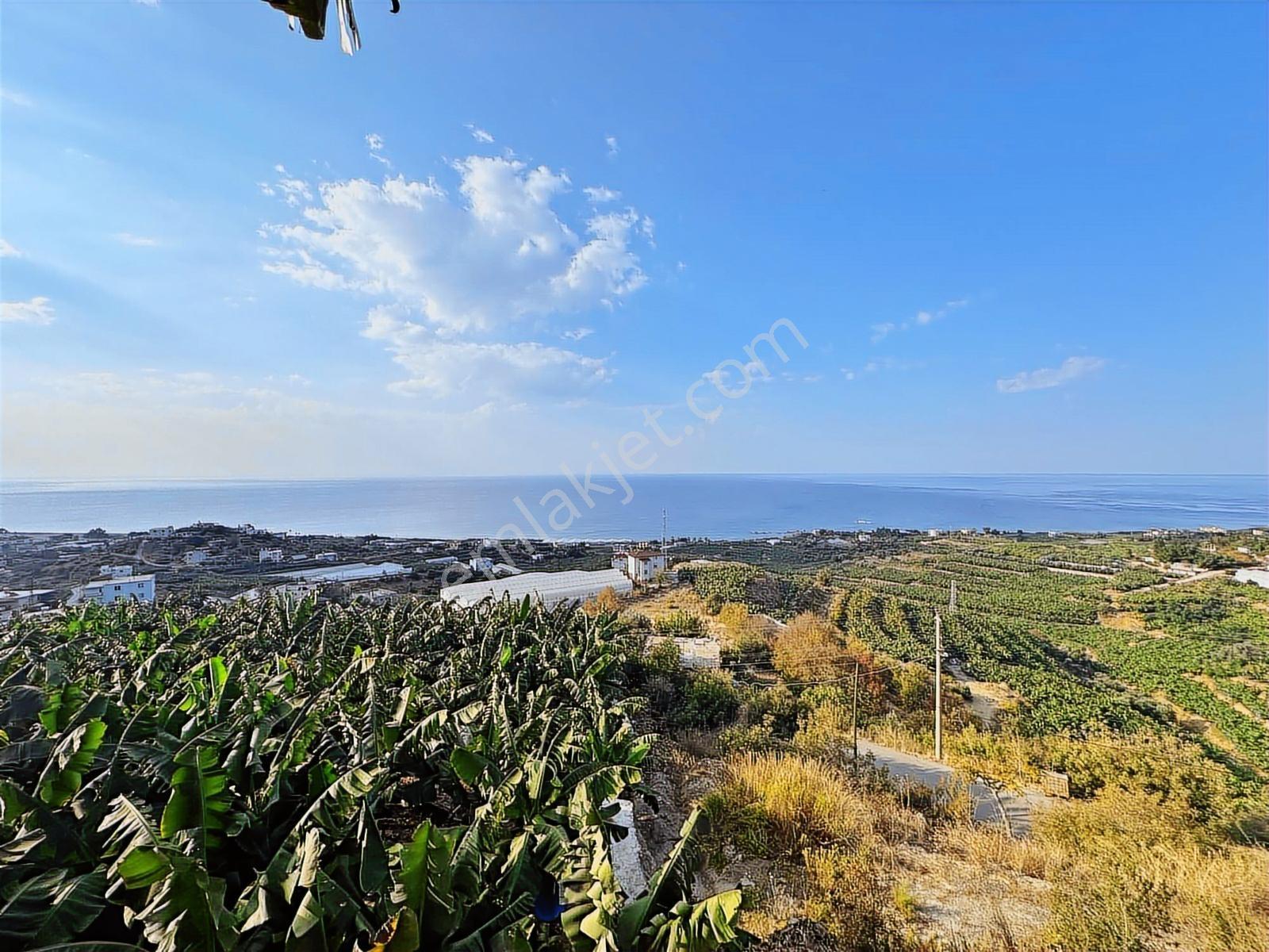 Satılık Emsalsiz Panoramik Deniz Manzaralı 2 Villa Yapmına Uygun - Görsel 10