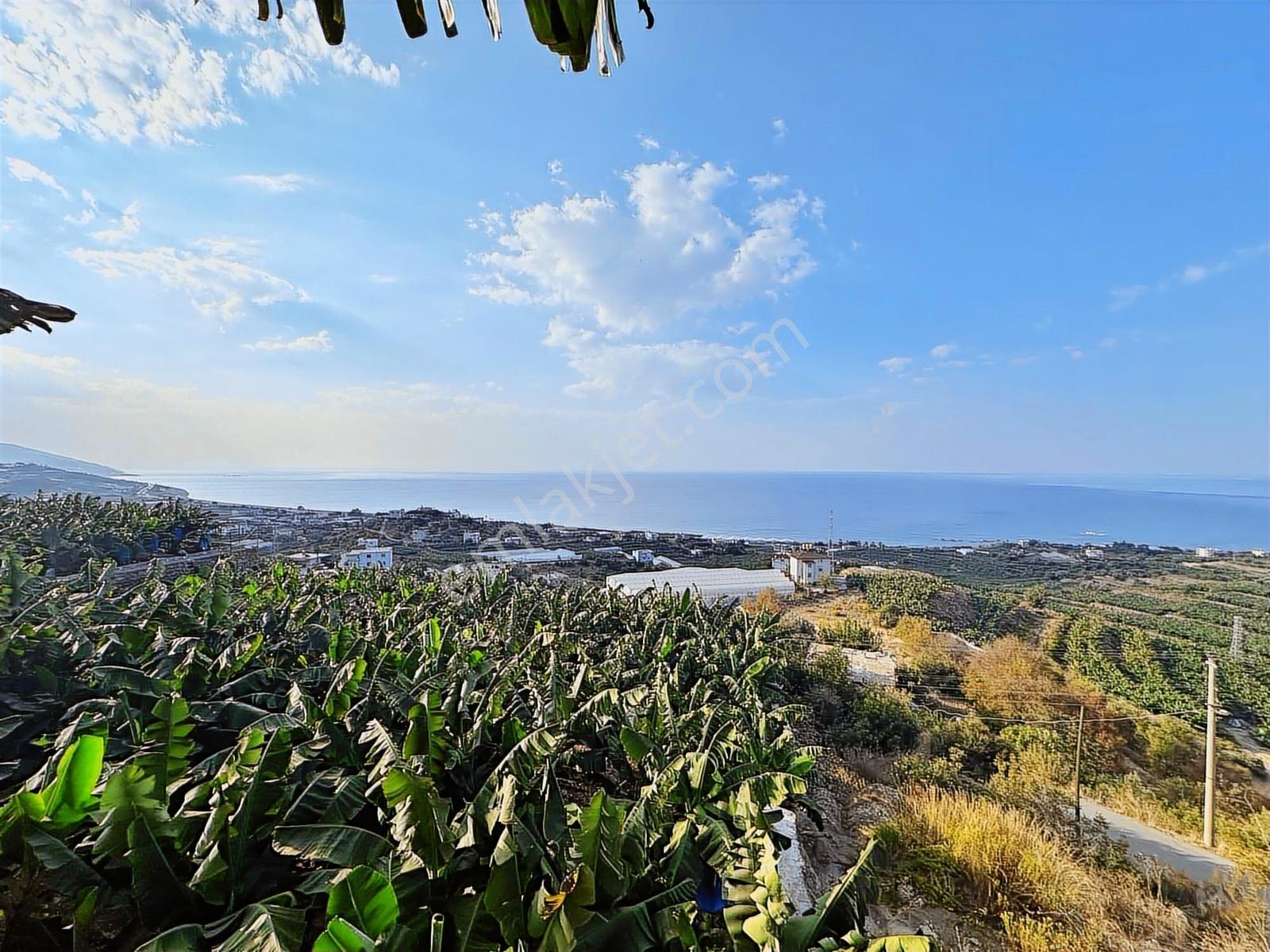 Satılık Emsalsiz Panoramik Deniz Manzaralı 2 Villa Yapmına Uygun - Görsel 25