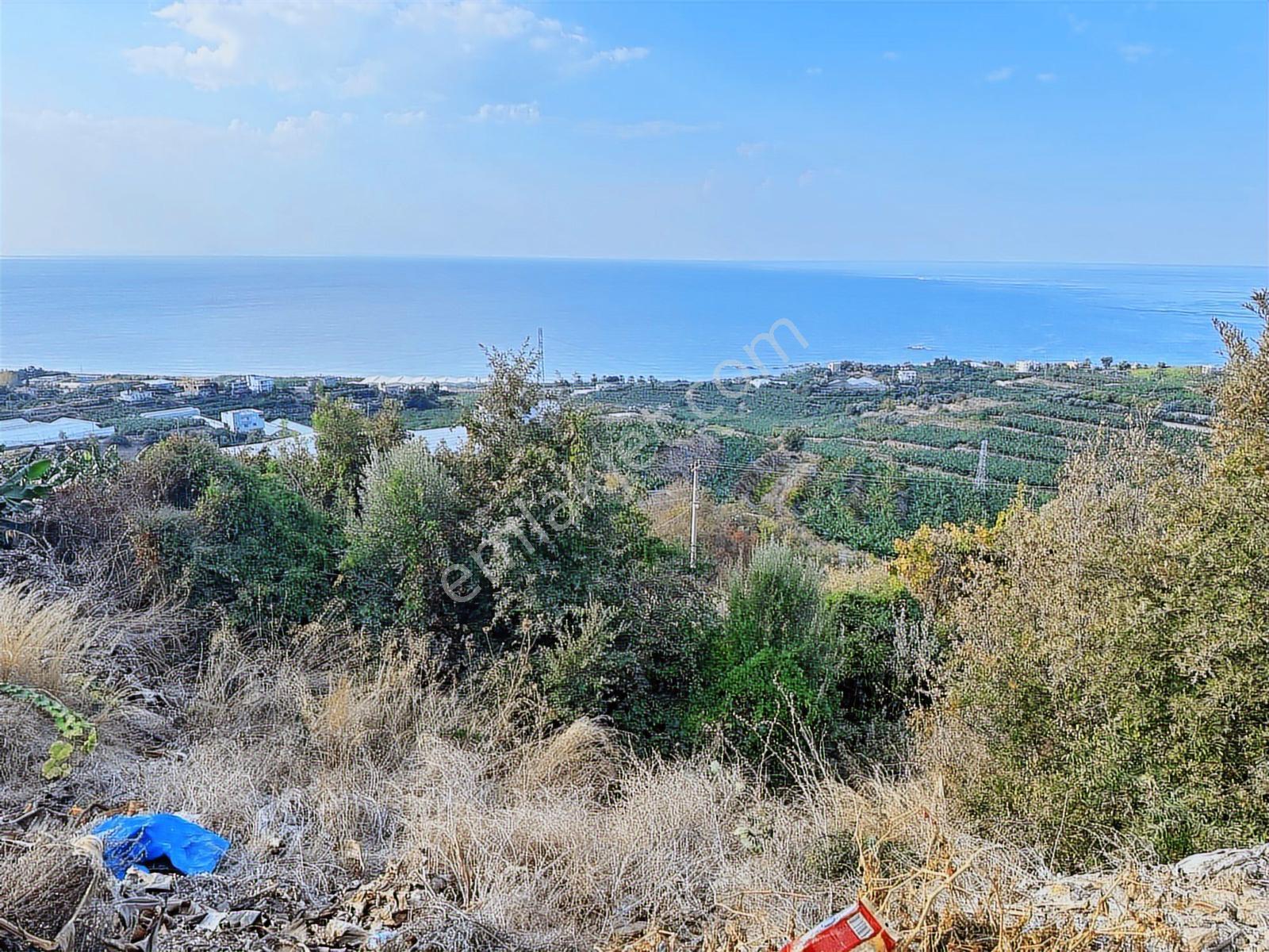 Satılık Emsalsiz Panoramik Deniz Manzaralı 2 Villa Yapmına Uygun - Görsel 16