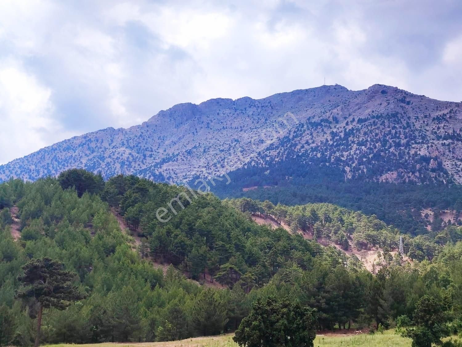 Kar Emlaktan Alpu Yaylasında 500 M2 Satılık Arsa - Görsel 4