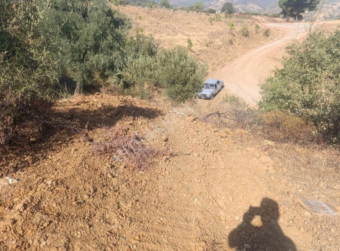 Doğa Gayrimenkul'den İzmir Bayındır'da Kaçırılmayacak Fırsat Arazi - Görsel 7