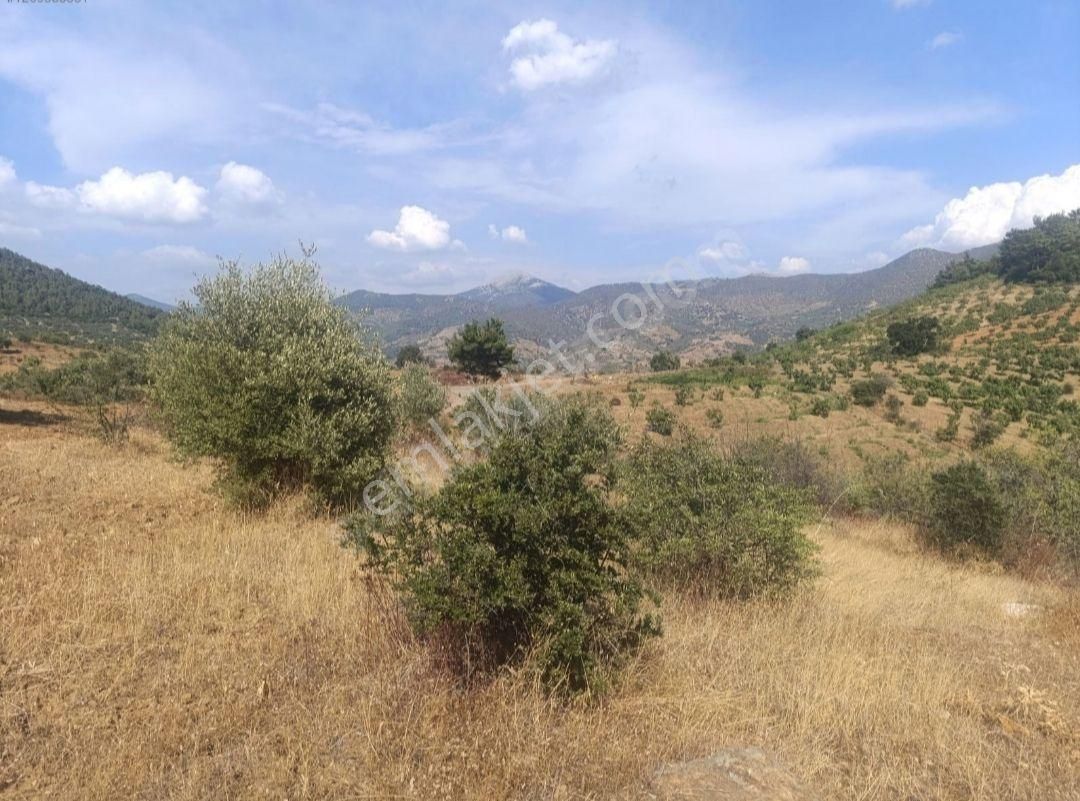 Doğa Gayrimenkul'den İzmir Bayındır'da Kaçırılmayacak Fırsat Arazi - Görsel 3