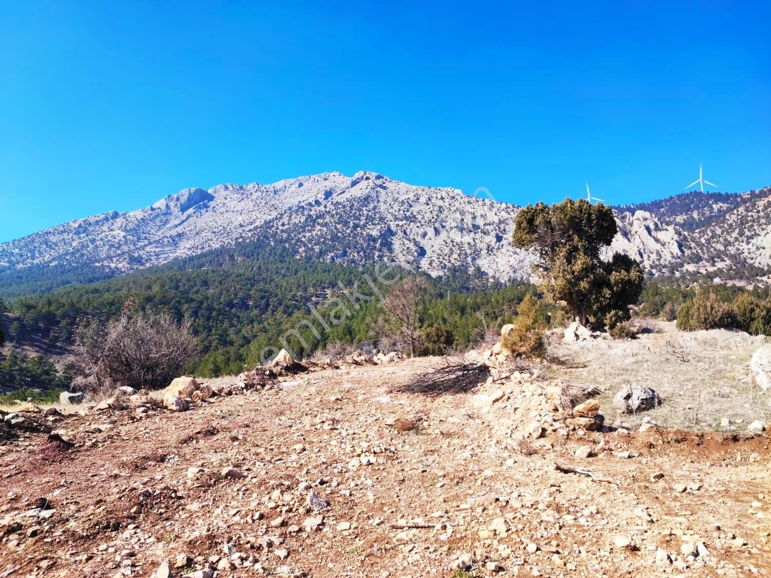Kar Emlaktan Alpu Yaylasında 480 M2 Satılık Arsa - Görsel 11