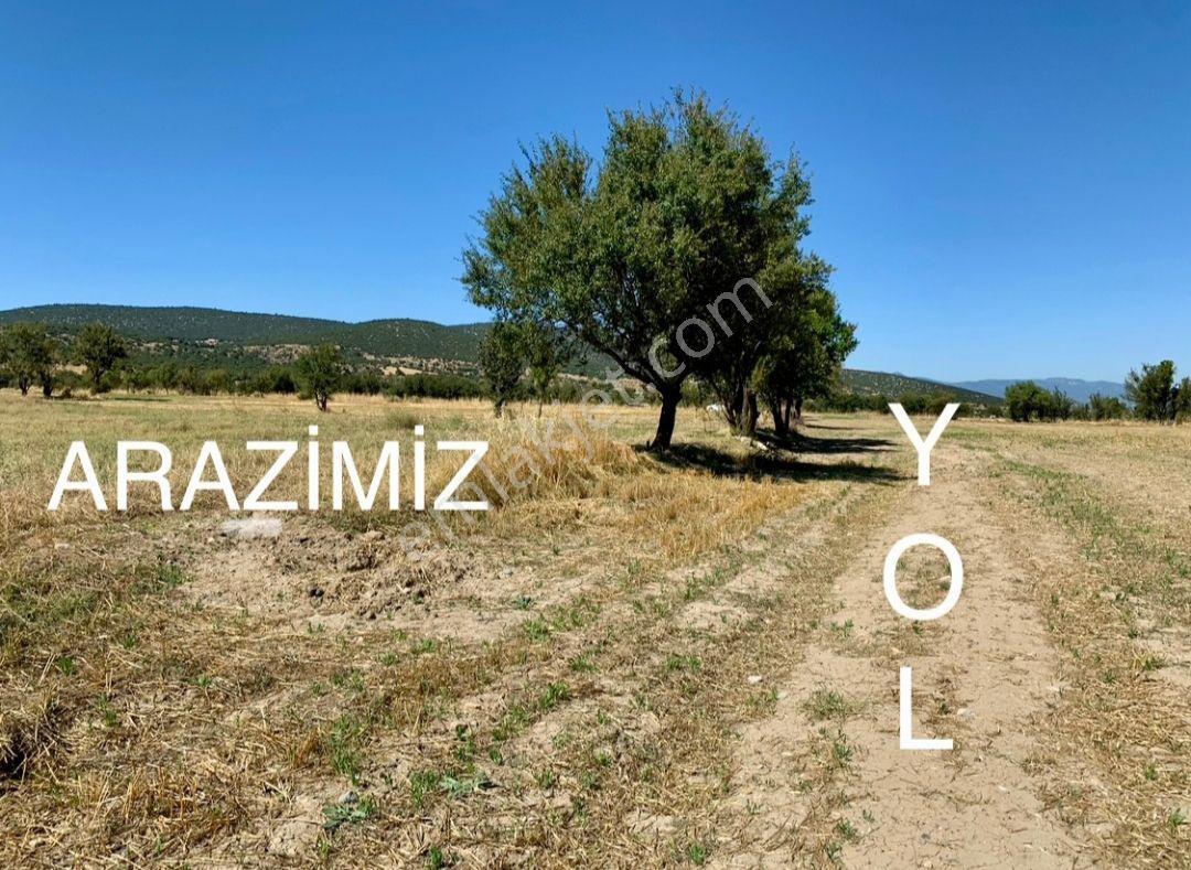 Denizli Muğla Otoyoluna 5 Dk. Mesafede 1800m2 Hobi Bahçesi - Görsel 2