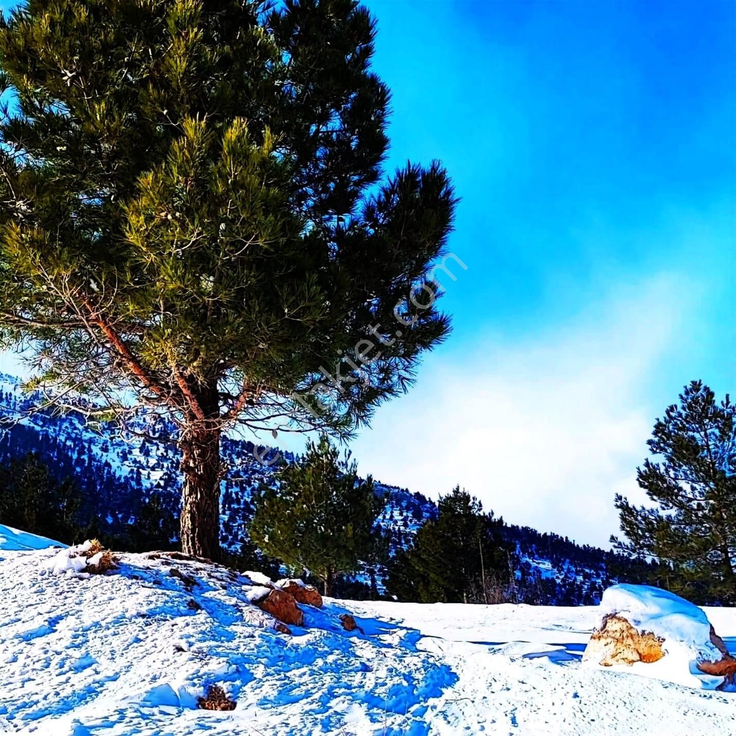 Kar Emlaktan Yenikonacık Bozkırlı Mevkiinde 425 M2 Satılık Arsa - Görsel 11