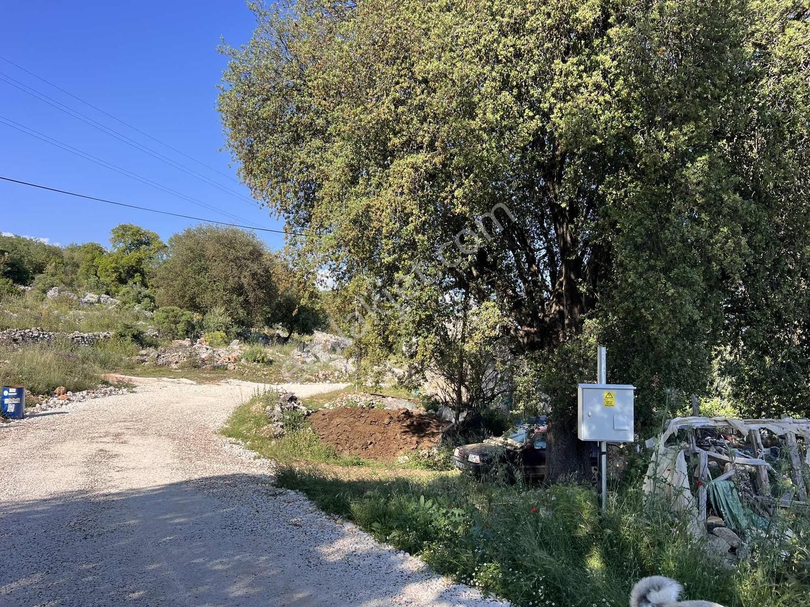 Kaş Gökçeyazı ( Belkonak ) Mevkii 2.100 M2 Müstakil Parsel - Görsel 10
