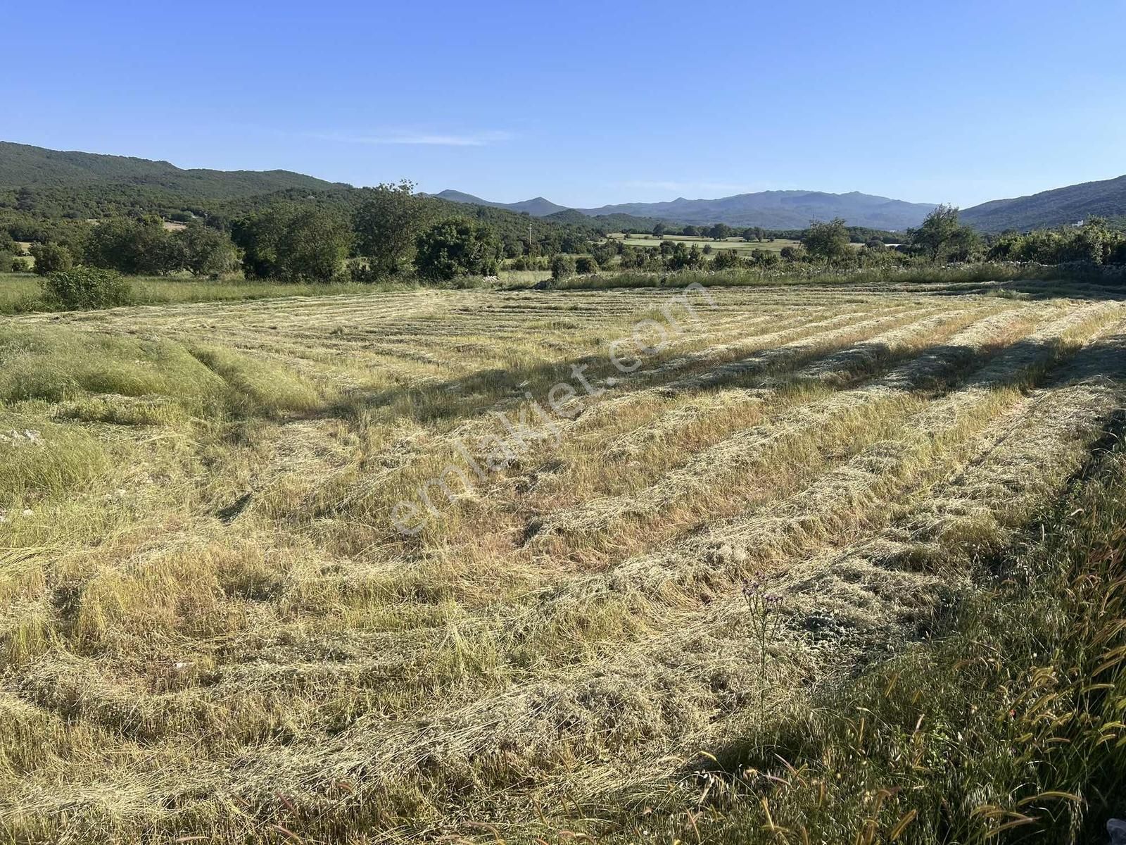 Kaş Gökçeyazı ( Belkonak ) Mevkii 2.100 M2 Müstakil Parsel - Görsel 5