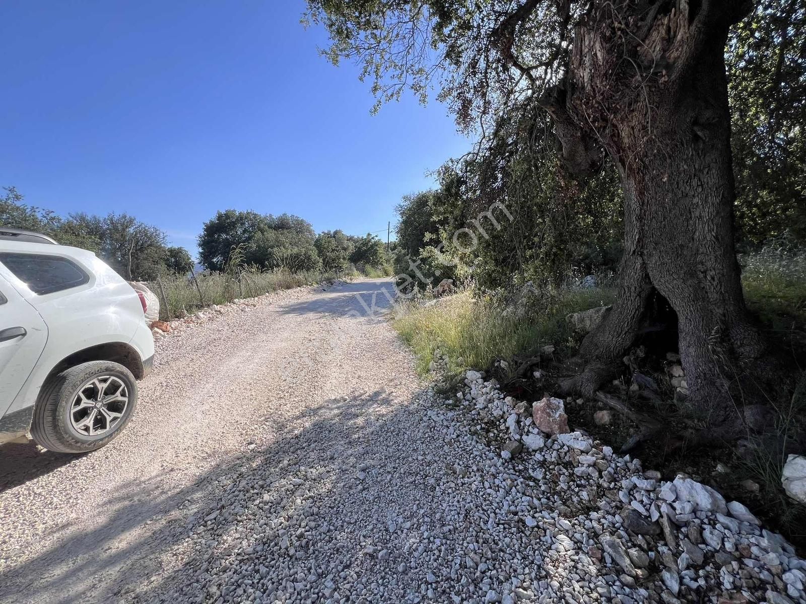 Kaş Gökçeyazı ( Belkonak ) Mevkii 2.100 M2 Müstakil Parsel - Görsel 3