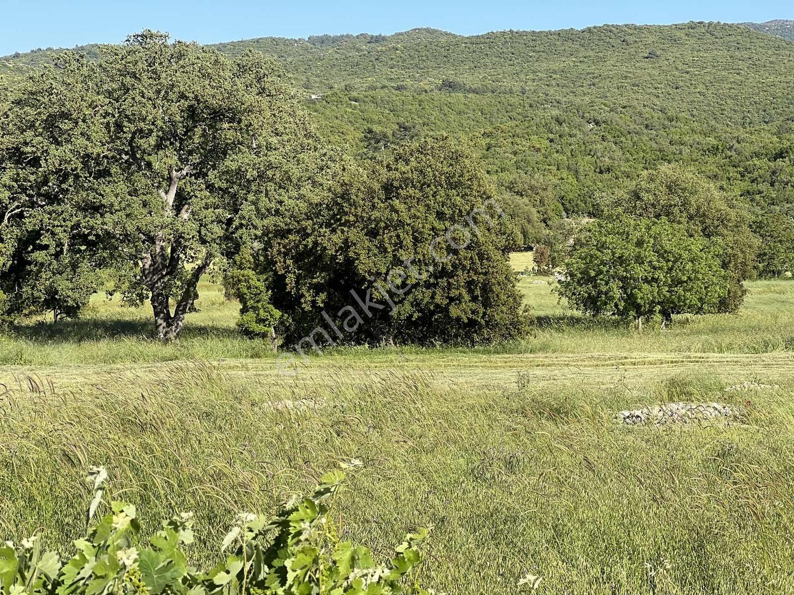 Kaş Gökçeyazı ( Belkonak ) Mevkii 2.100 M2 Müstakil Parsel - Görsel 9