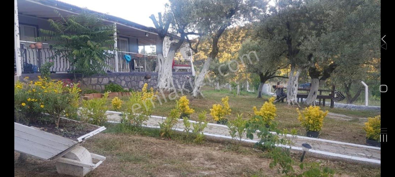 İzmir Torbalı Gold Emlaktan Satılık Harika Bahçeli Ev - Görsel 8