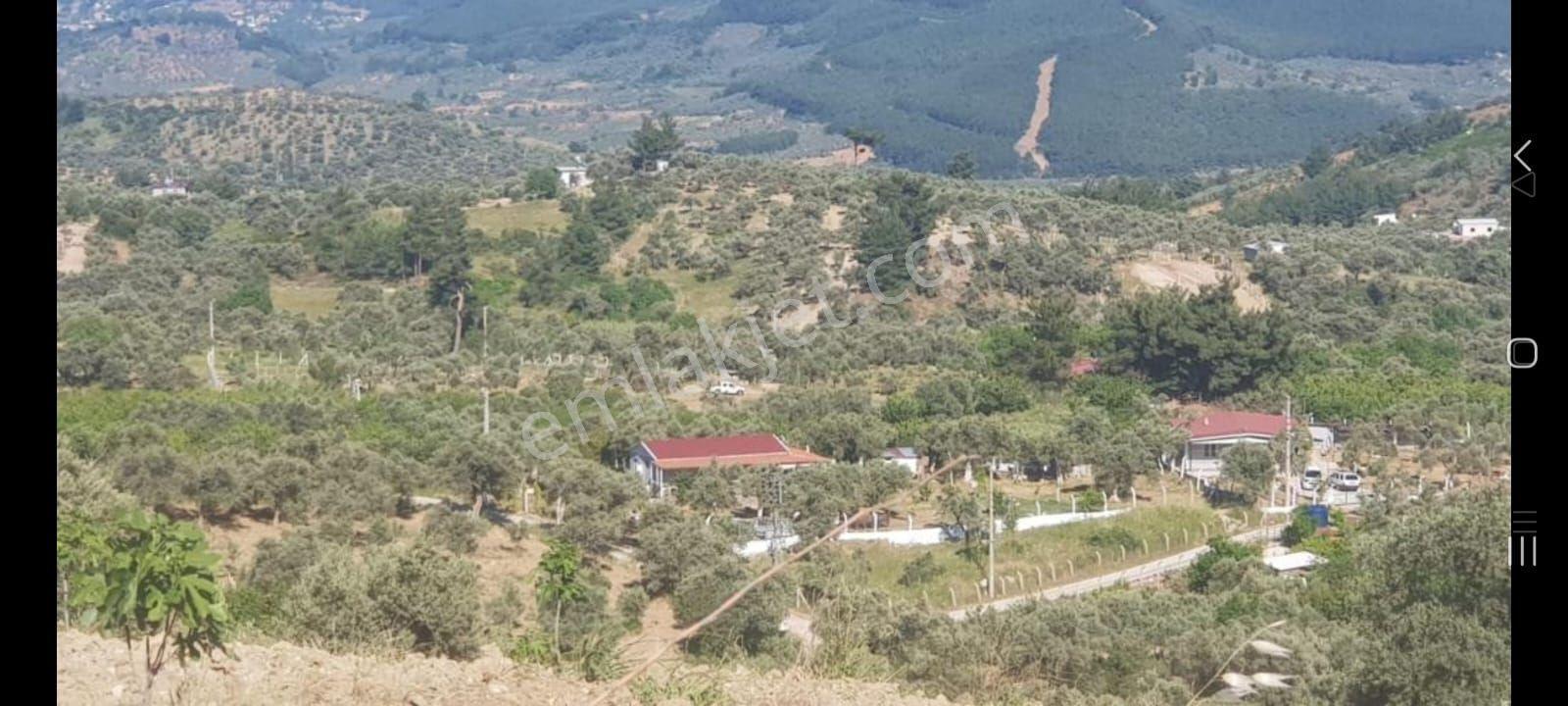 İzmir Torbalı Gold Emlaktan Satılık Harika Bahçeli Ev - Görsel 11