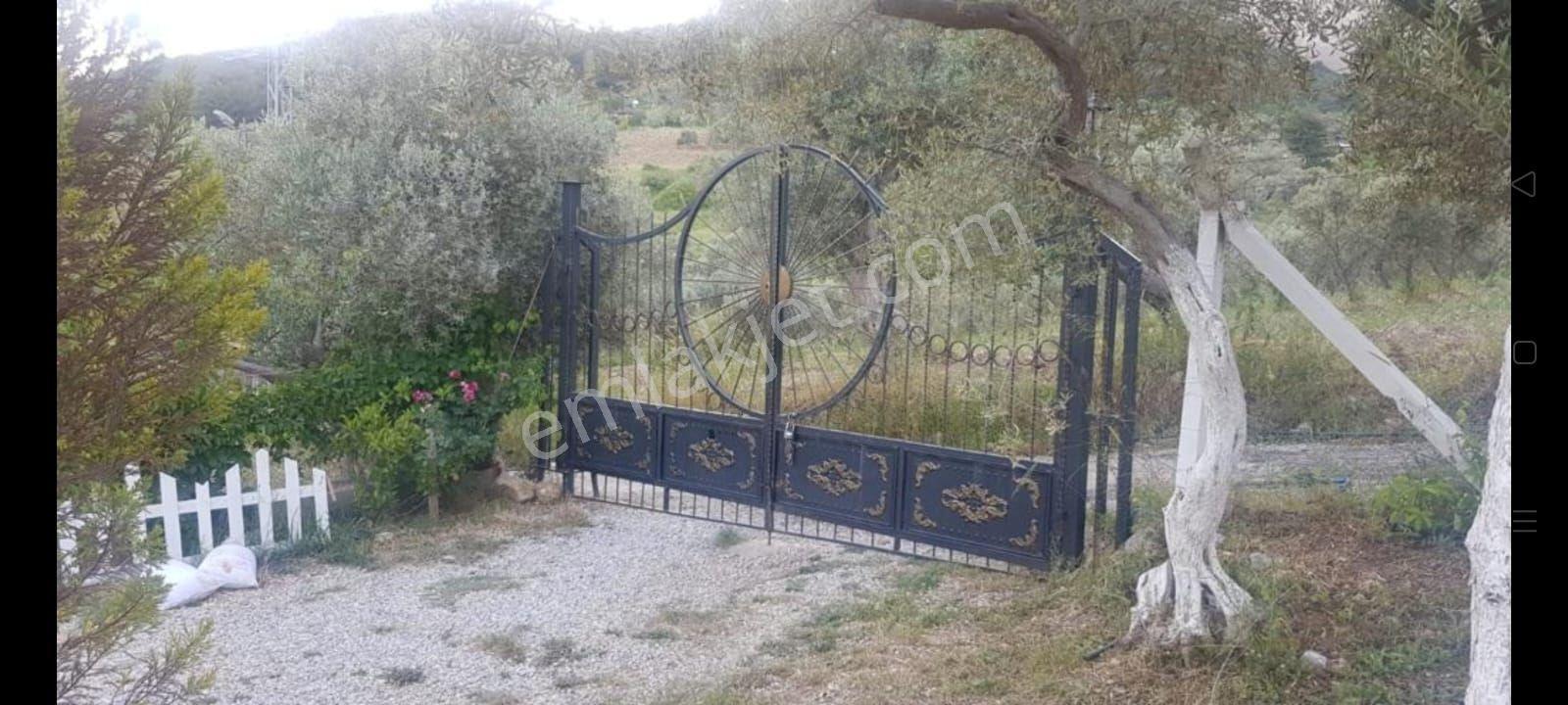İzmir Torbalı Gold Emlaktan Satılık Harika Bahçeli Ev - Görsel 13