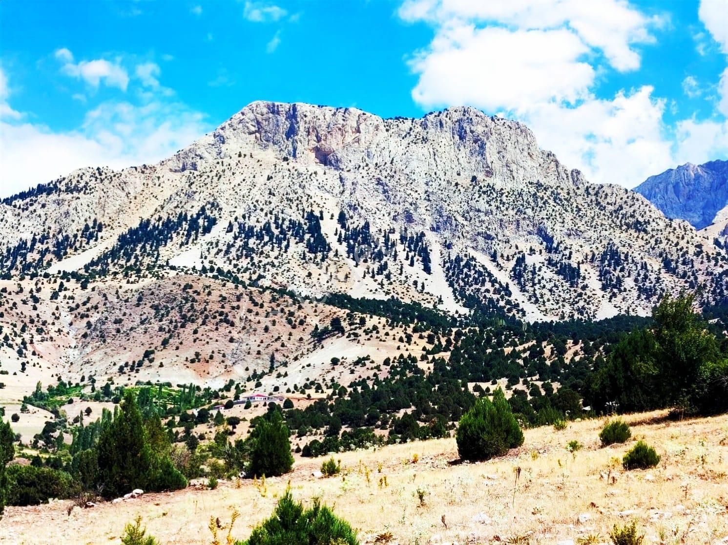 Kar Emlaktan Aşçıbekirli Fenese Mevkiinde 400 M2 Satılık Arsa - Görsel 27