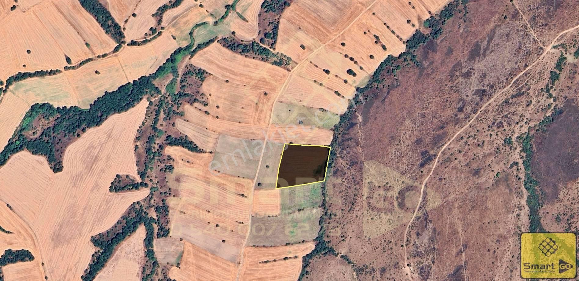 Biga Sinekçi Köyü'nde 10.500 M² Satılık Tarla - Görsel 4