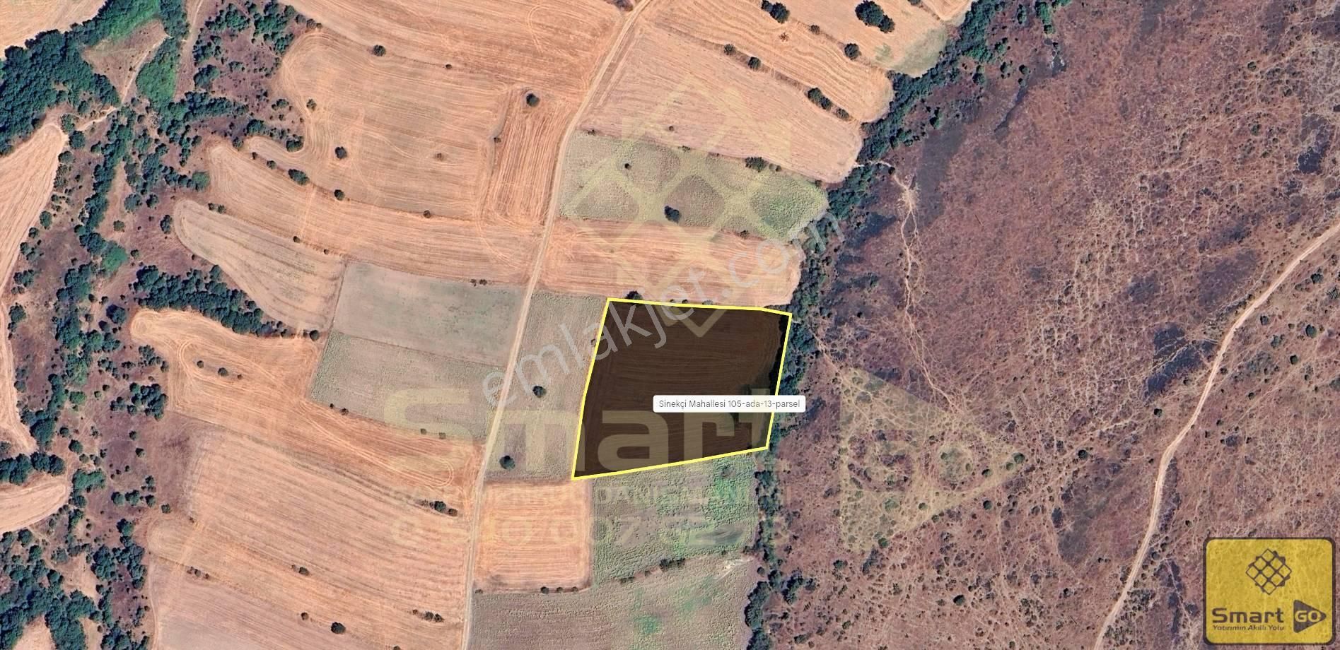 Biga Sinekçi Köyü'nde 10.500 M² Satılık Tarla