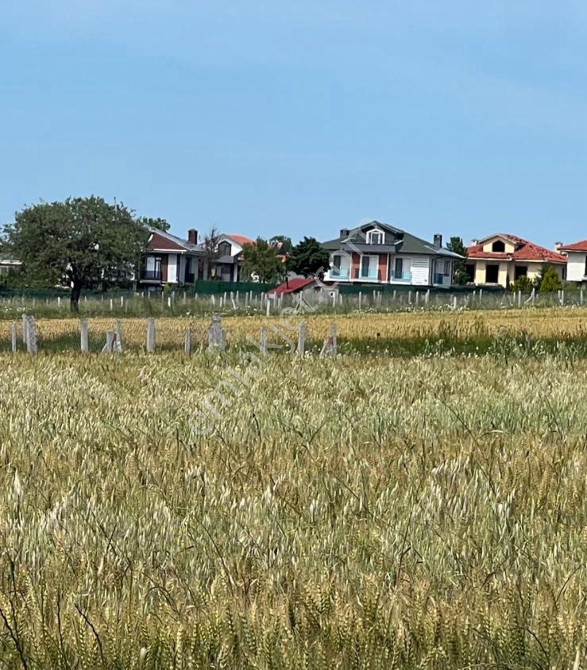 Silivri Balabanda Tarlar Değil İmarlı Arsa - Görsel 13