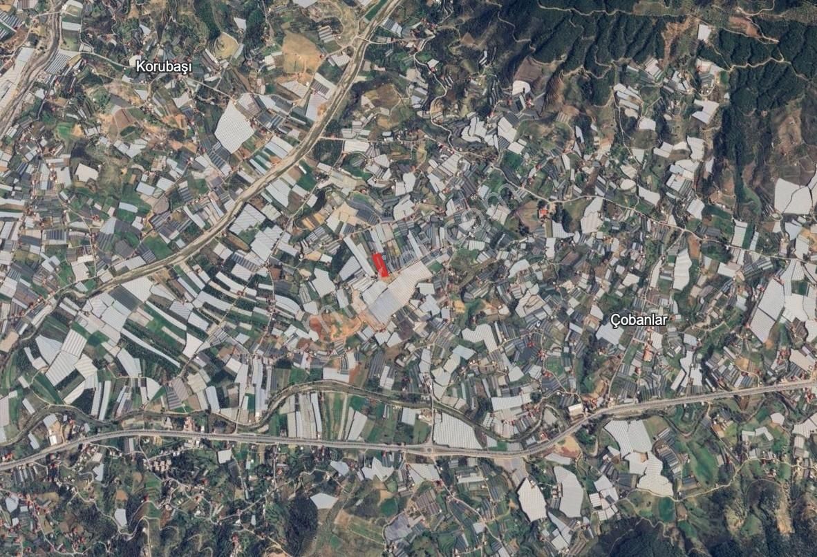 İçerisinde Ev Bulunan, Üretime Hazır Çobanlar Tarım Alanı - Görsel 5