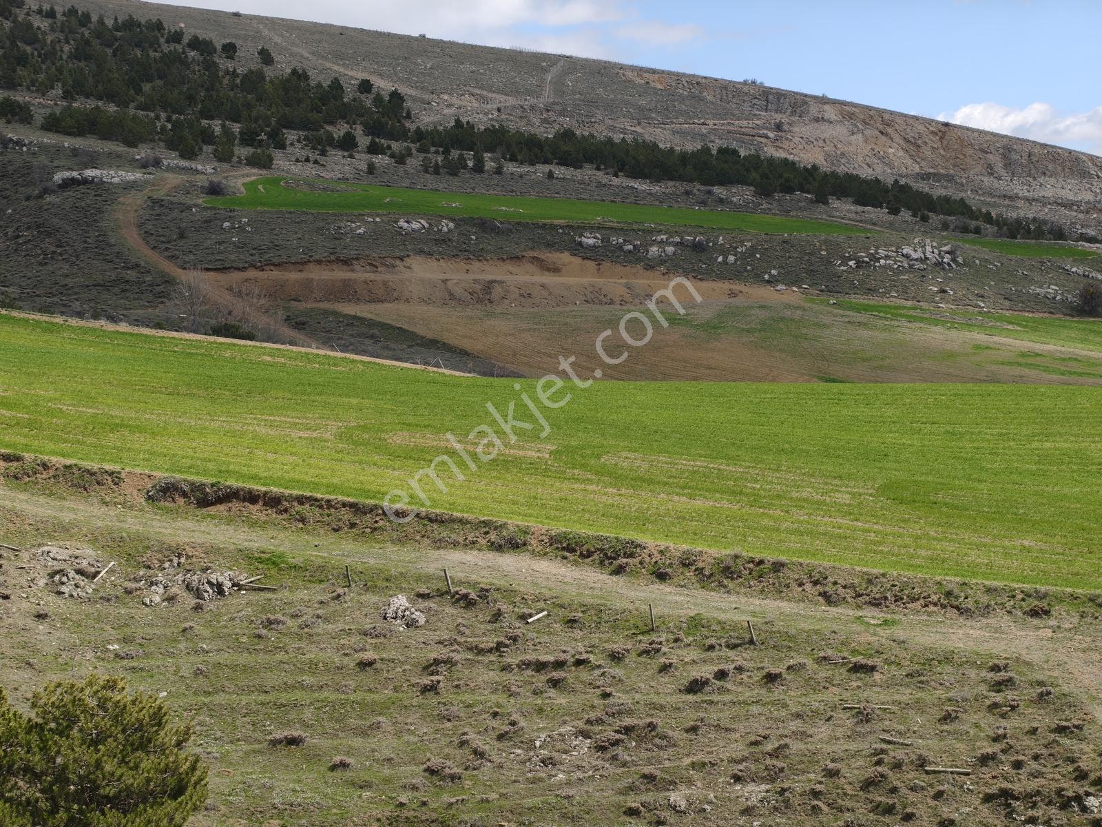 Hasanoğlan/havuzbaşı/hisar Mevkii/imar Yanı/tek Tapu/8 Dönüm - Görsel 5