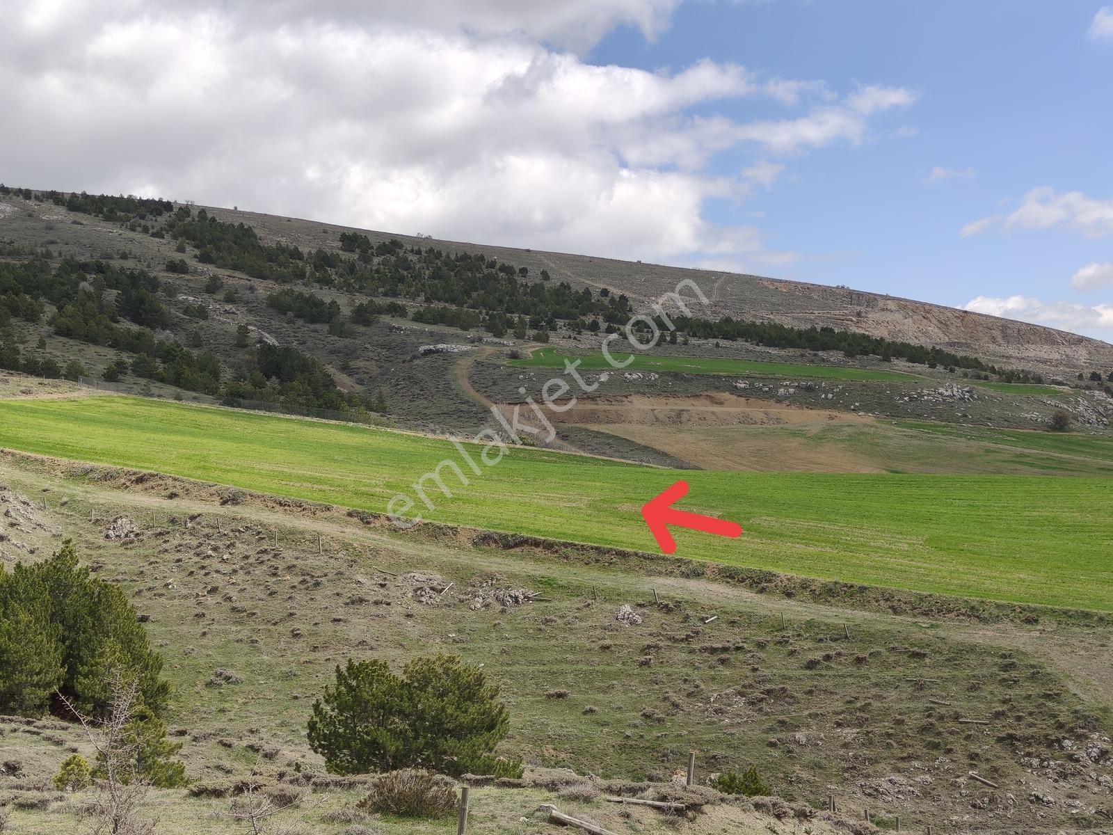 Hasanoğlan/havuzbaşı/hisar Mevkii/imar Yanı/tek Tapu/8 Dönüm - Görsel 22