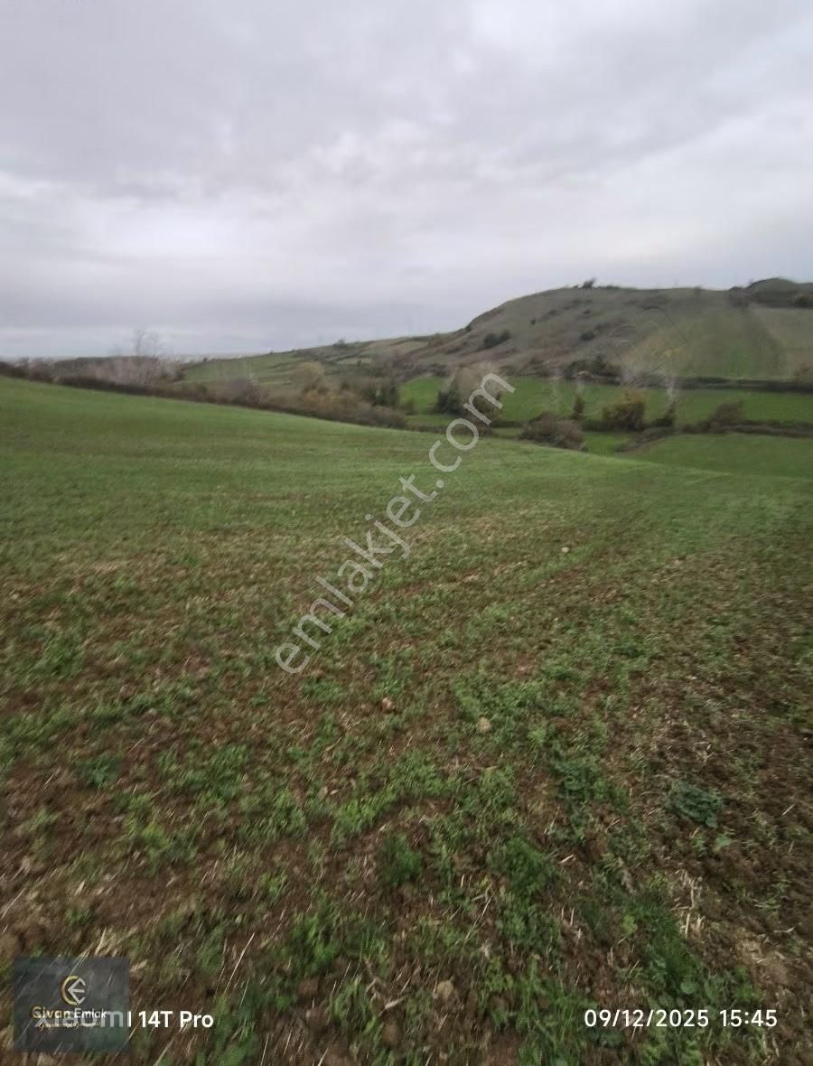 Civan'dan Aktekke'de Satılık 1232 M² Tarla - Görsel 8