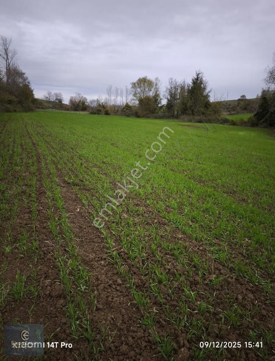 Civan'dan Aktekke'de Satılık 1232 M² Tarla