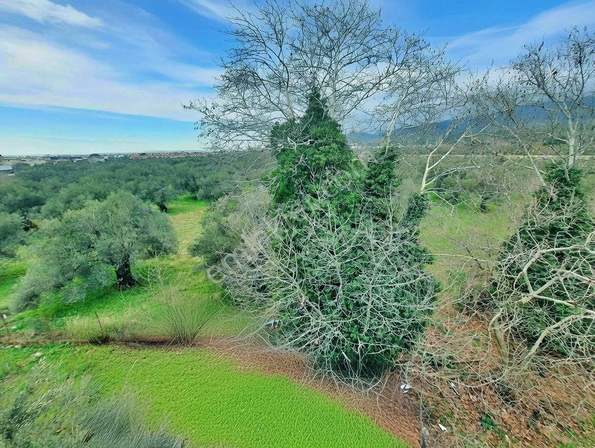 Uytundan Avcılar Fener De Denize 800m 1+1 Kiralık Daire - Görsel 24