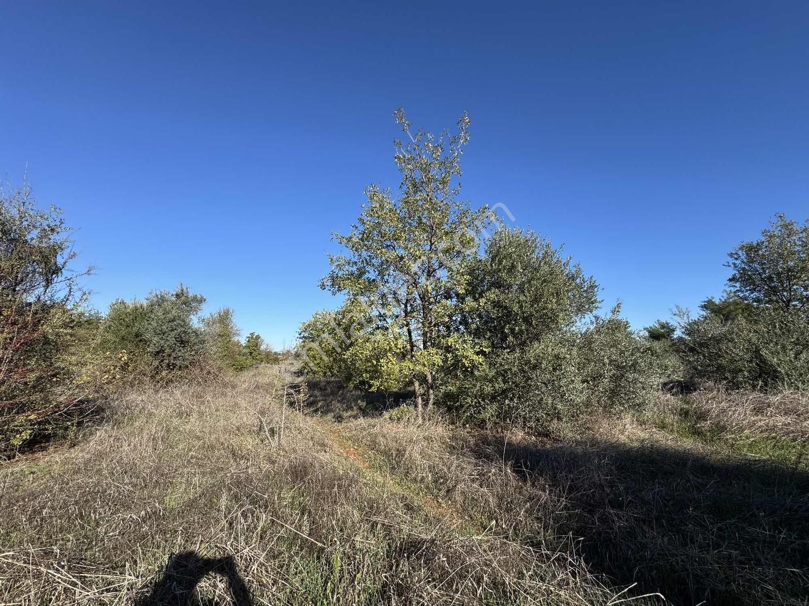 Duacı'da Yola Yakın 1615m2 Takasa Açık Satılık Tarla - Görsel 21